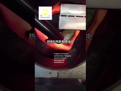 sıcak baskı yağ baskı makineleri için qingjiang tohum kızartıcı