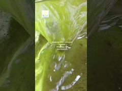 Güneşböceği tohumu yağı pres makinesi