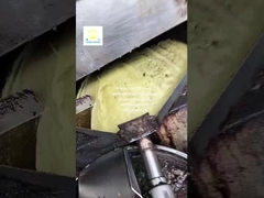 Güneşböceği tohumu yağı ekstraksiyon sezam yağı yapma baskı makinesi