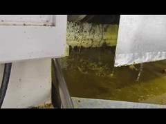 Soğuk baskı fıstık yağı değirmen hindistancevizi yağı presleme makinesi