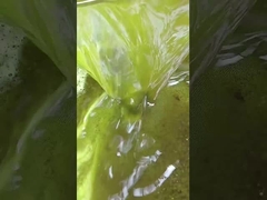 Soya fasulyesi ekstraksiyon makinesi soğuk baskı yağlı pasta